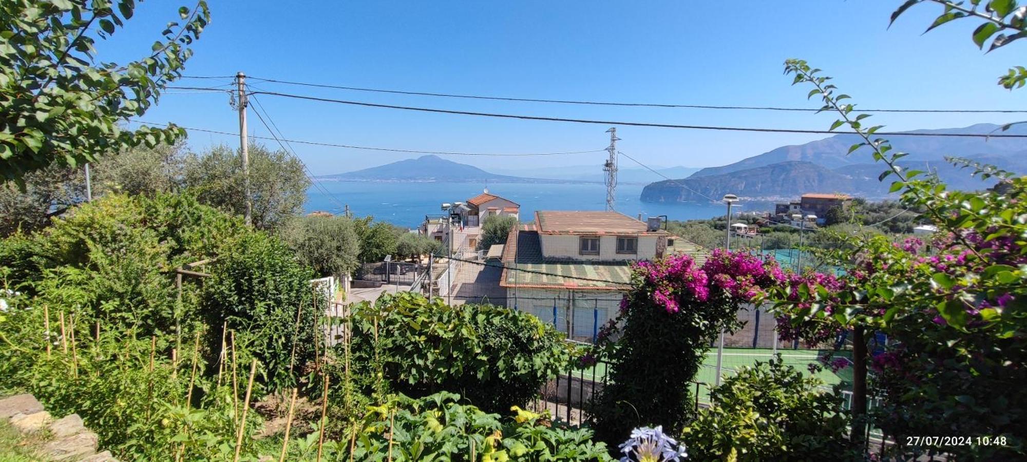 Lally'S Garden Bed and Breakfast Sorrento Esterno foto