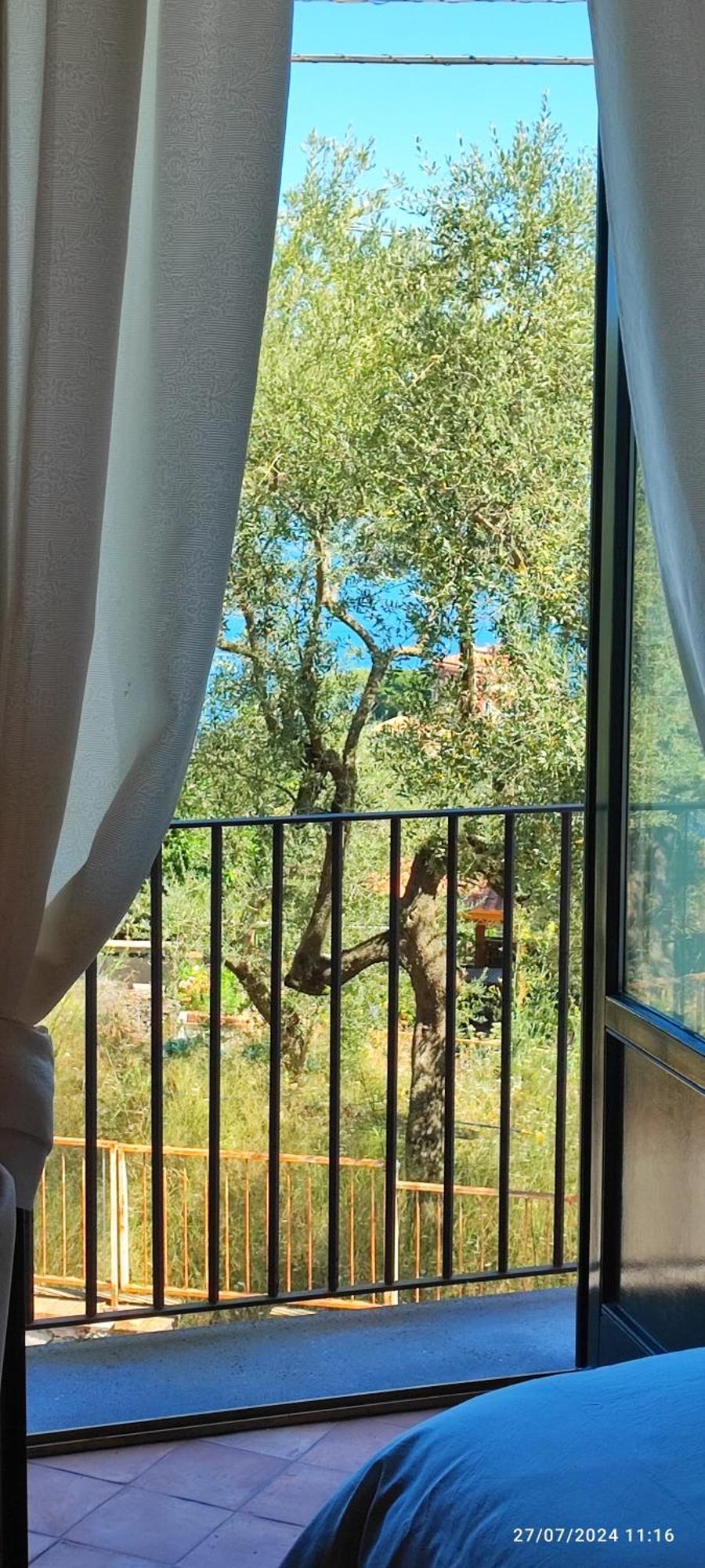 Lally'S Garden Bed and Breakfast Sorrento Esterno foto